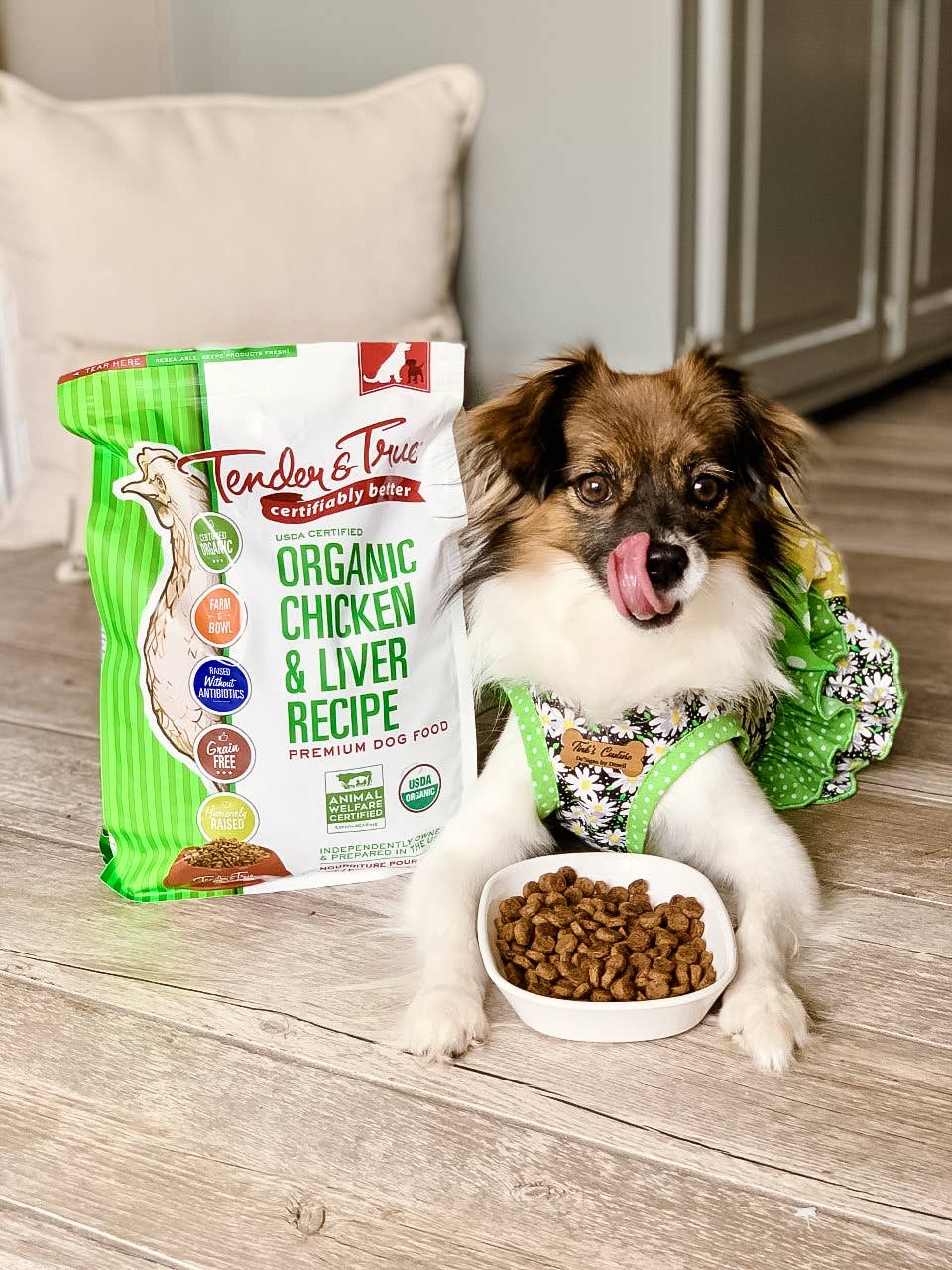 Organic Chicken & Liver Recipe Dry Dog Food | 4 lb
