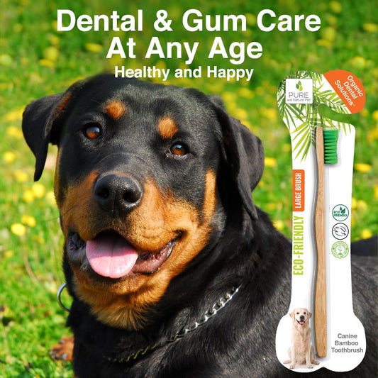 Large dog bamboo toothbrush promoting healthy teeth and gums for daily canine dental care