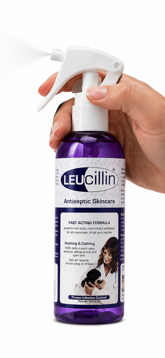 Hand holding and spraying a Leucillin Antiseptic Skincare Spray 150 mL bottle