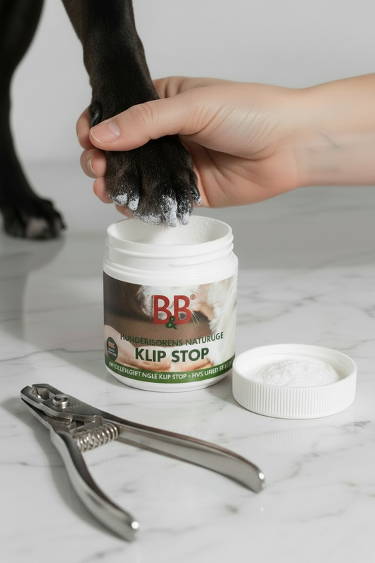 B&B Klip Stop powder being applied during pet nail trimming with nail clippers nearby