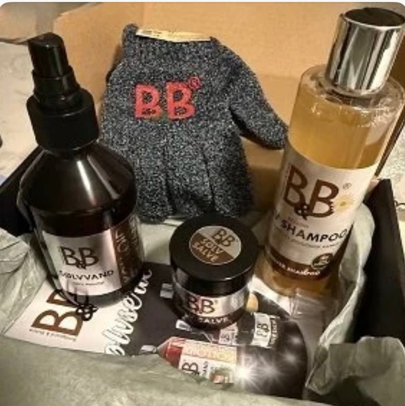 B&B Starter Box Colloid Silver Series
