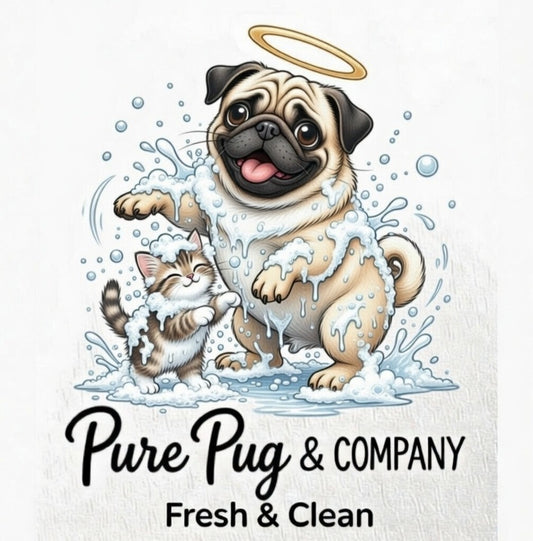 B&B Starter Box Colloid Silver Series