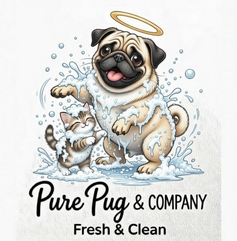 B&B Starter Box Colloid Silver Series