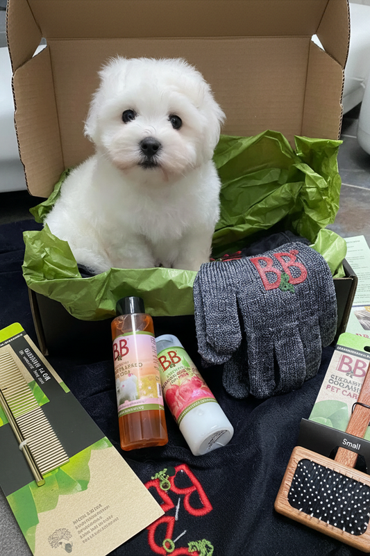 B&B Fur Care Starter Box for Puppies