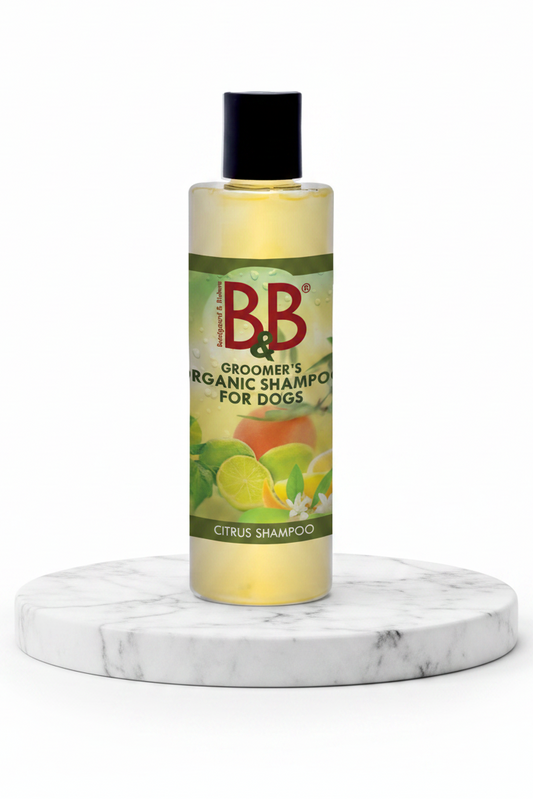 B&B Organic Citrus Shampoo for Dogs | 100 mL