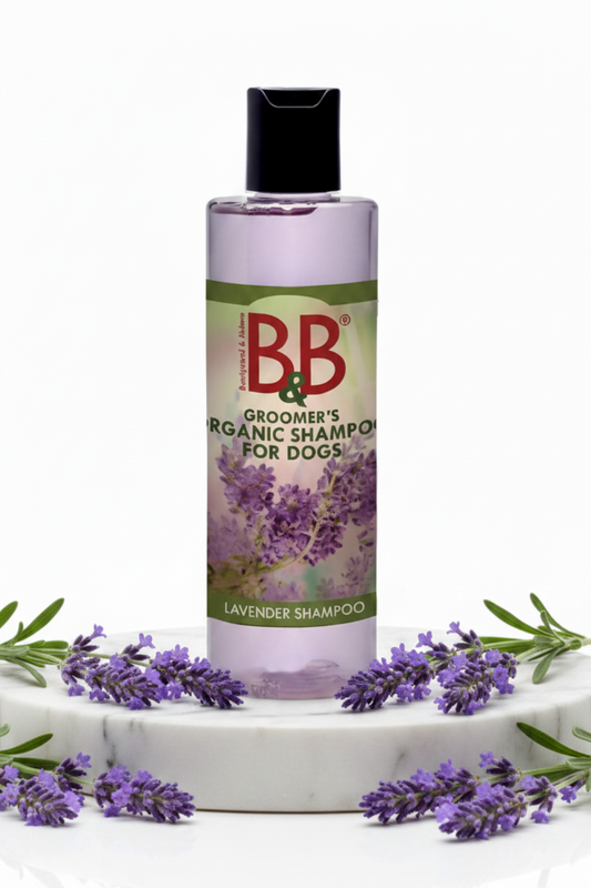 B&B Organic Lavender Shampoo for Dogs 100 mL bottle with fresh lavender