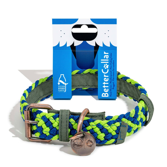 BetterCollar Neon Green & Royal Blue Dog Collar made from recycled ocean-bound plastic