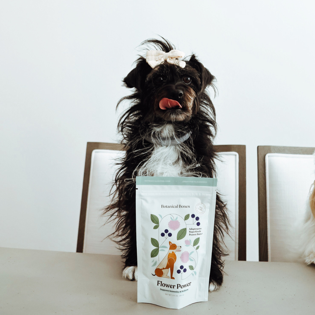 Flower Power Cookies | All-Natural Organic Dog Treats