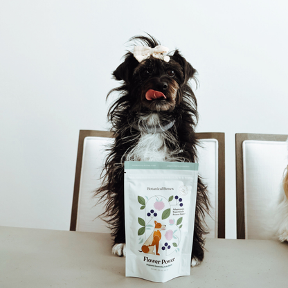 Flower Power Cookies | All-Natural Organic Dog Treats
