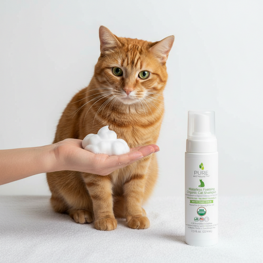 Orange cat beside organic waterless foaming shampoo with cleansing foam ready for application