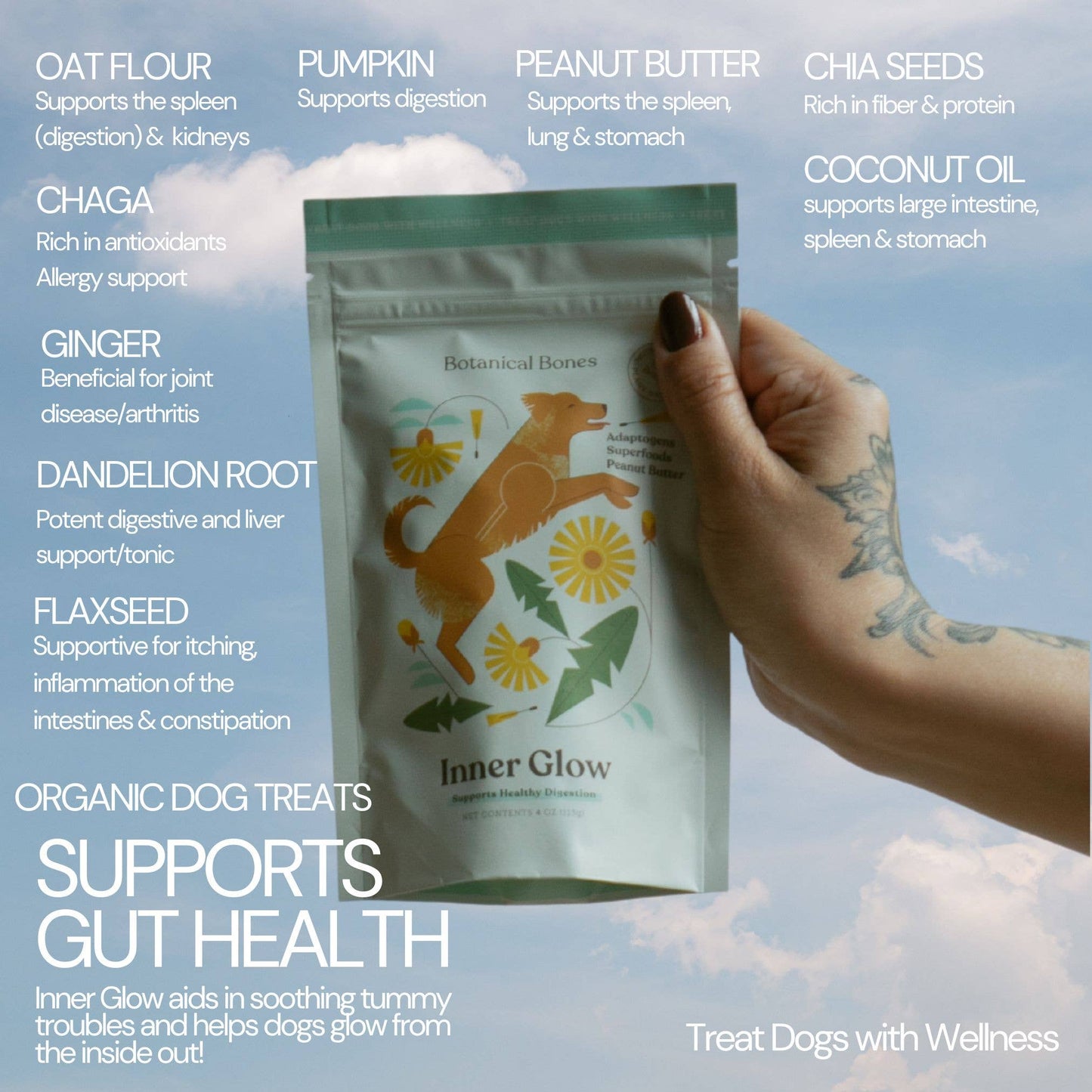 Inner Glow Cookies | All-Natural Organic Dog Treats
