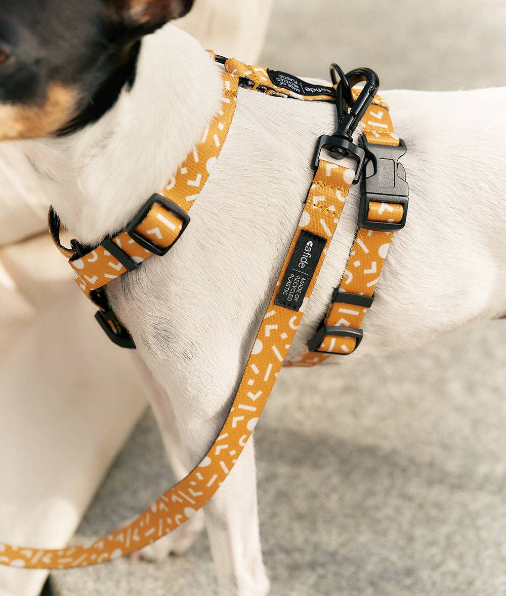Memphis Mustard Design Recycled PET Harness, Juno: S