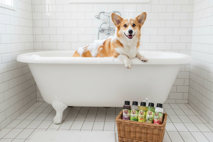 B&B Minibag The 5 Originals five organic dog shampoos displayed beside a bathtub with a corgi dog