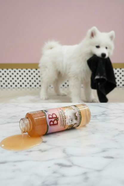 B&B Organic Puppy Shampoo with puppy for gentle coat care