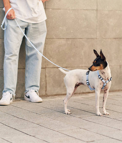 Vichy Blue Design Recycled PET Harness, Juno: M