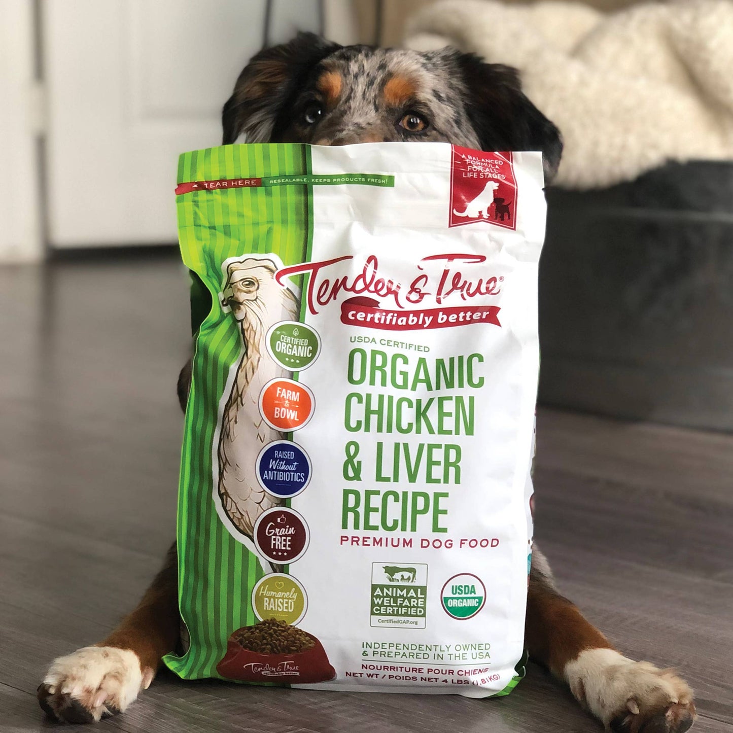 Organic Chicken & Liver Recipe Dry Dog Food | 4 lb