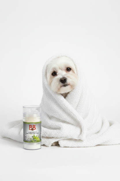 Freshly bathed white Maltese wrapped in a towel beside B&B Chrysanthemum & Jojoba Shampoo Bar.