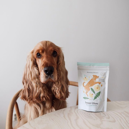 Botanical Bones: Retail Ready Bundle. Functional Dog Treats.