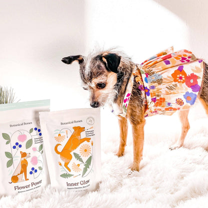 Inner Glow Cookies | All-Natural Organic Dog Treats