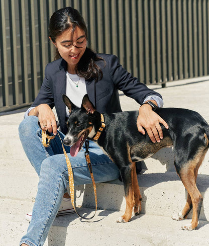 1.2m Recycled PET Strap Memphis Mustard Design, Juno