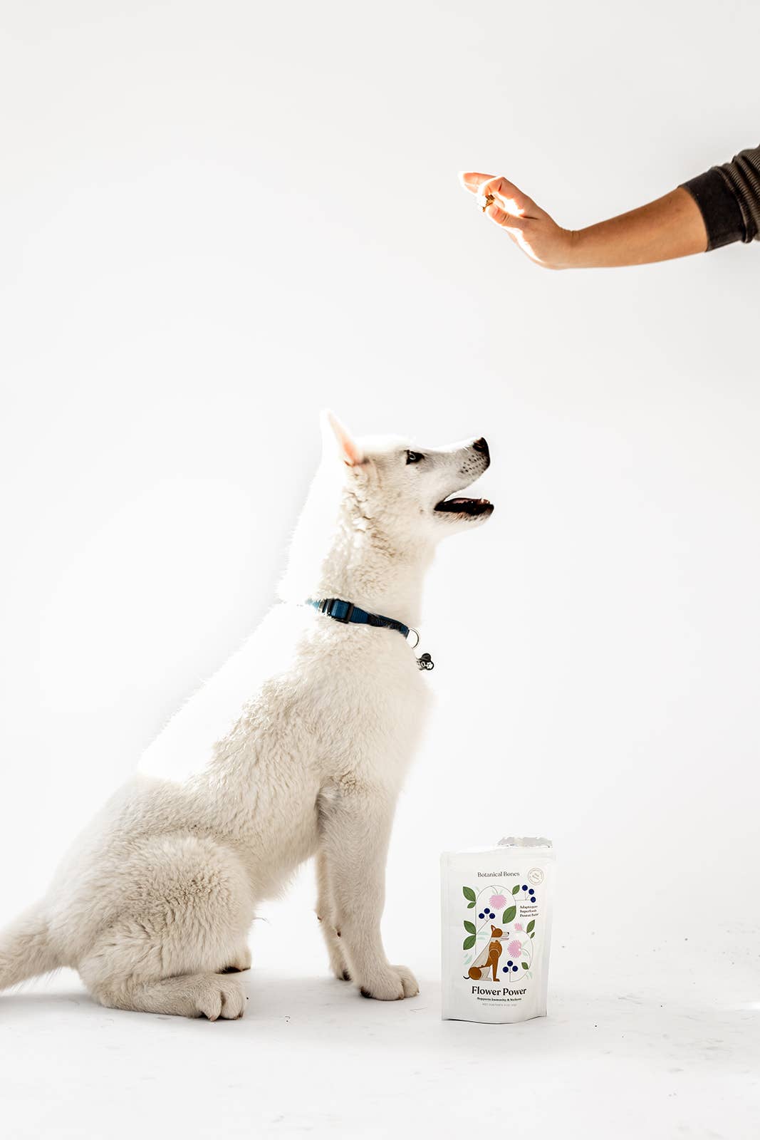 Botanical Bones: Retail Ready Bundle. Functional Dog Treats.