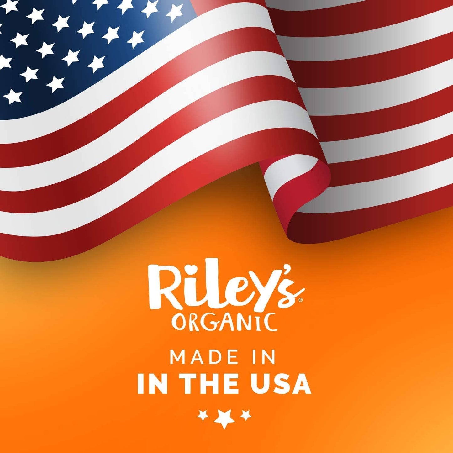 Riley’s Organics Pumpkin & Coconut Dog Treats | Large Bone | 5 oz