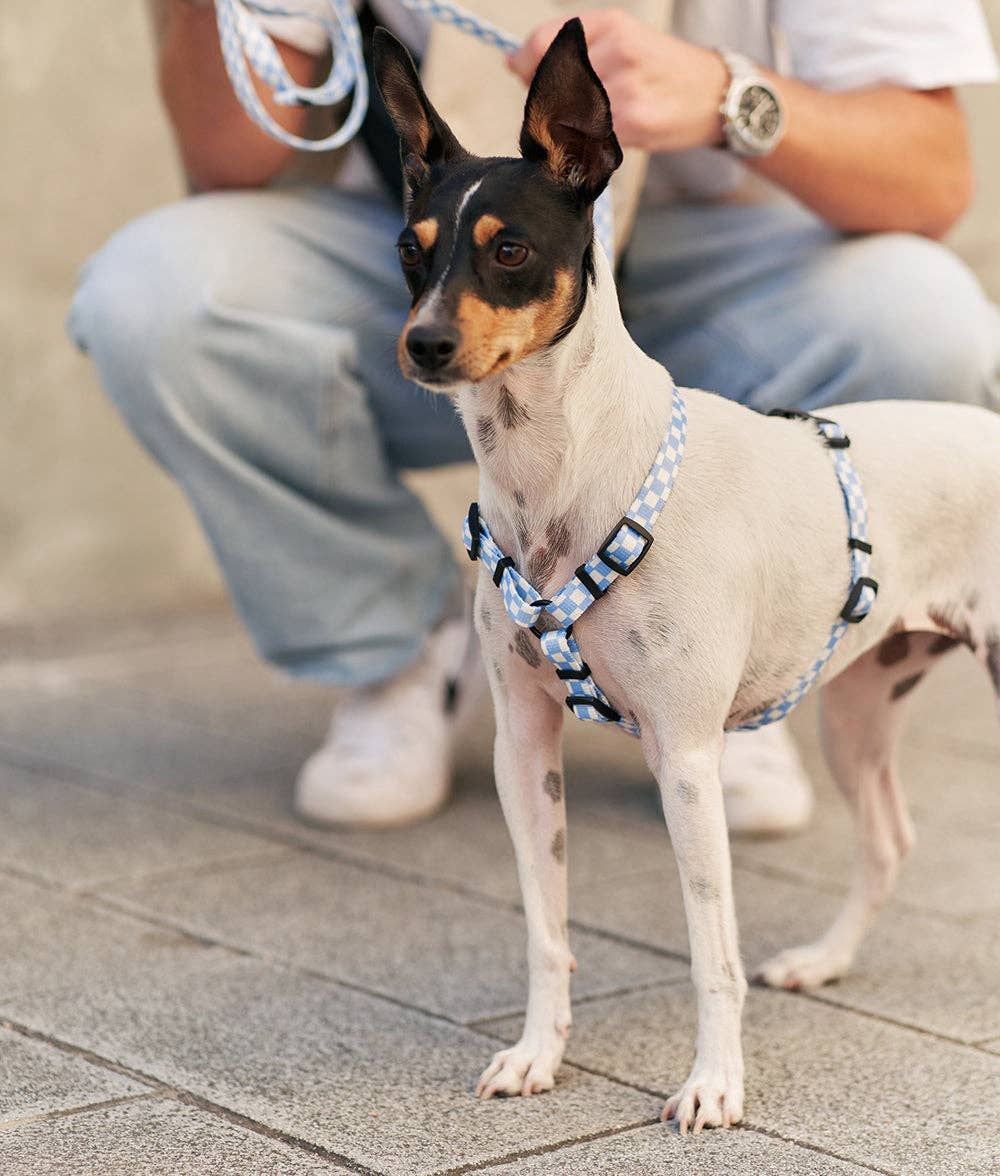 Vichy Blue Design Recycled PET Harness, Juno: M