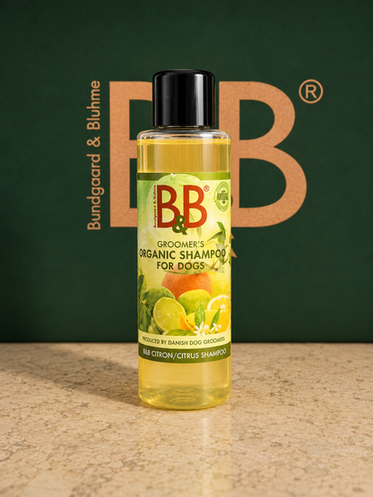 B&B Organic Citrus Shampoo for Dogs | 100 mL