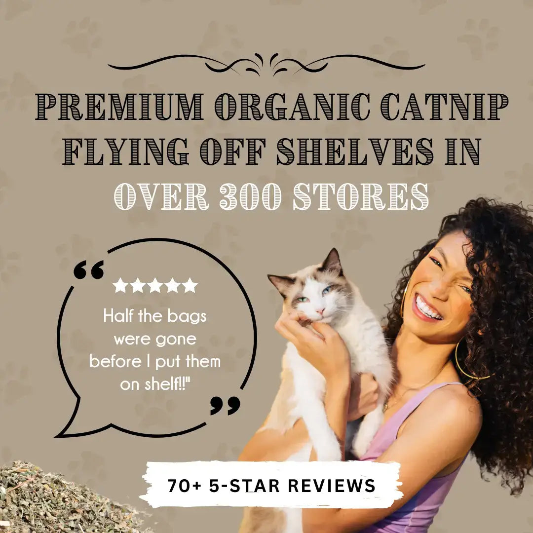 Catnip and Silver Vine Bean Bag | Cat Toy | Gift for Pets