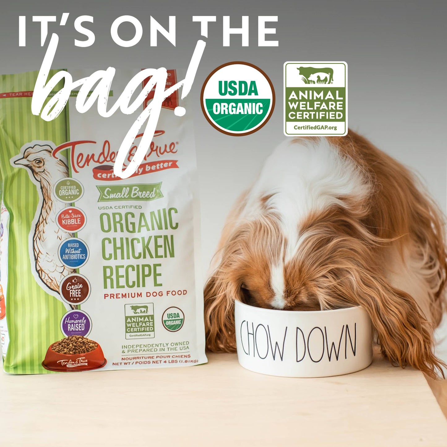 Small dog with Tender & True Organic Small Breed Chicken & Liver Recipe dog food bag