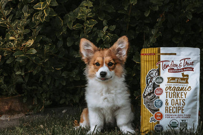 Organic Small Breed Turkey & Oats Recipe Dry Dog Food | 4 lb