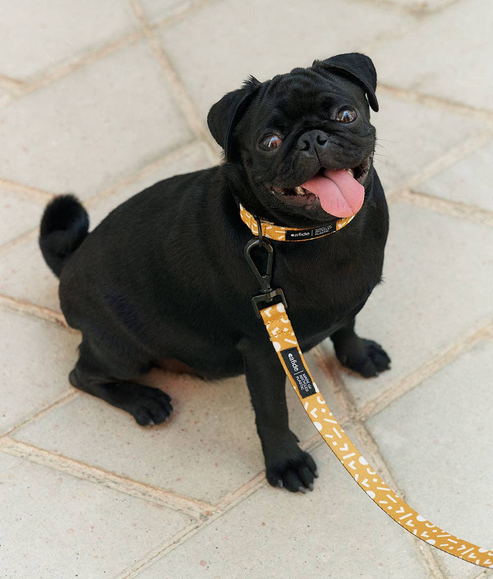 1.2m Recycled PET Strap Memphis Mustard Design, Juno