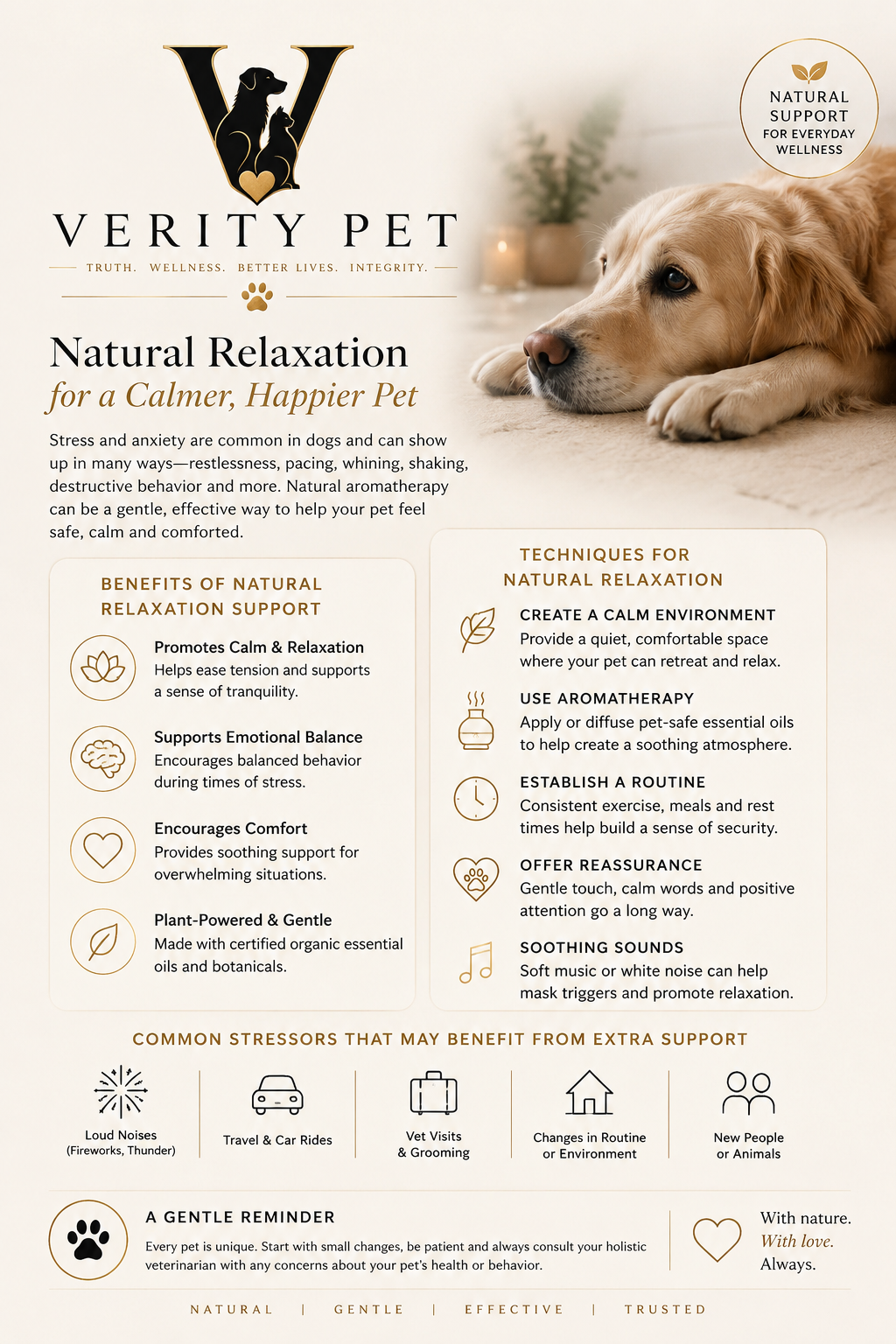 Verity Pet natural relaxation guide explaining benefits and techniques for helping pets manage everyday stress and nervousness