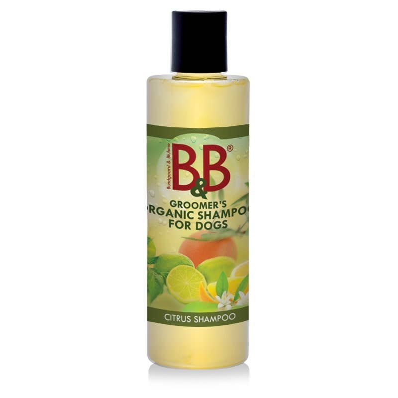 Organic Citrus Shampoo: 100ml