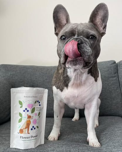 Flower Power Cookies | All-Natural Organic Dog Treats