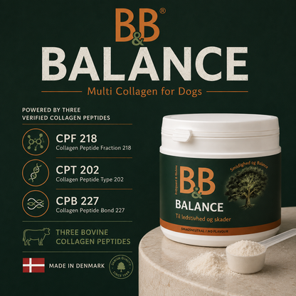 B&B Balance Multi Collagen for Dogs featuring CPF 218, CPT 202, and CPB 227 bovine collagen peptides made in Denmark