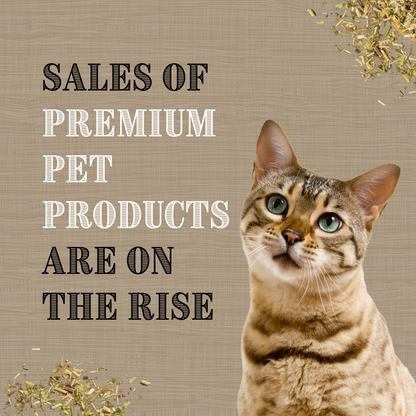 Catnip and Silver Vine Kickers | Cat Toys | Gifts for Pets