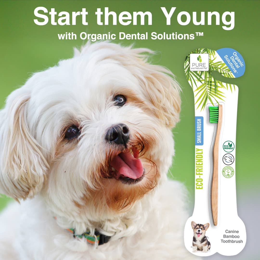 Bamboo Toothbrush for Small Dogs - Organic Dental Solutions®