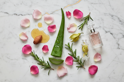Organic rose balm ingredients including rose petals, aloe vera, rosemary, and almond oil