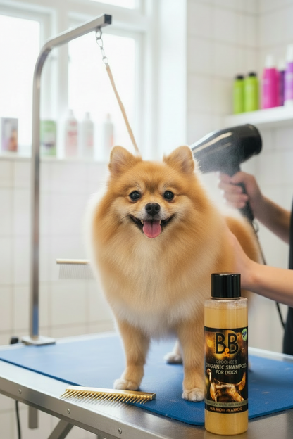 B&B Organic Show Shampoo used during professional grooming and blow-drying