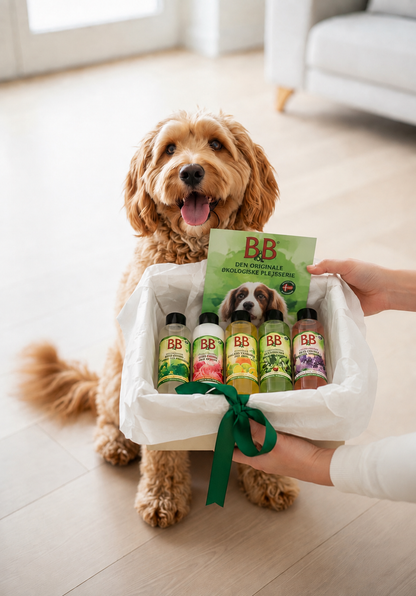 B&B Minibag The 5 Originals five-piece dog grooming gift set presented to a happy dog