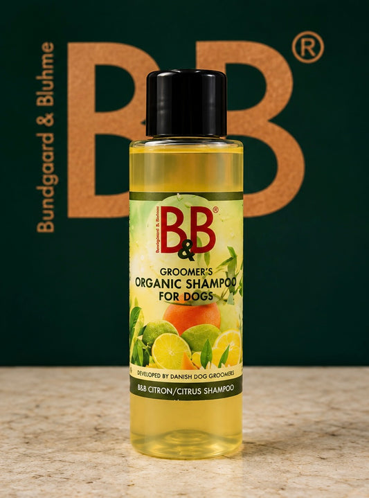 B&B Organic Citrus Shampoo for Dogs | 100 mL