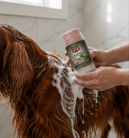 B&B Shea Butter & Ginseng Shampoo Bar being used on the wet coat of an Irish Setter