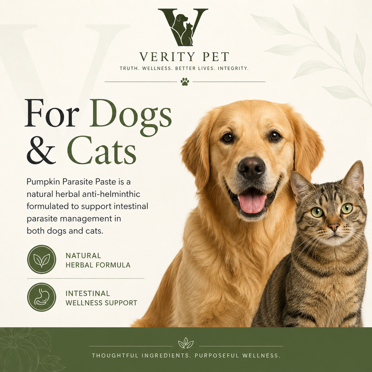 Verity Pet Pumpkin Parasite Paste informational graphic highlighting use for dogs and cats and natural herbal ingredients