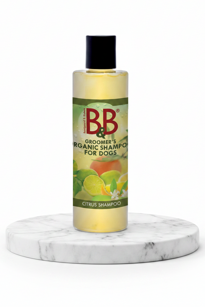 B&B Organic Citrus Shampoo for Dogs | 100 mL
