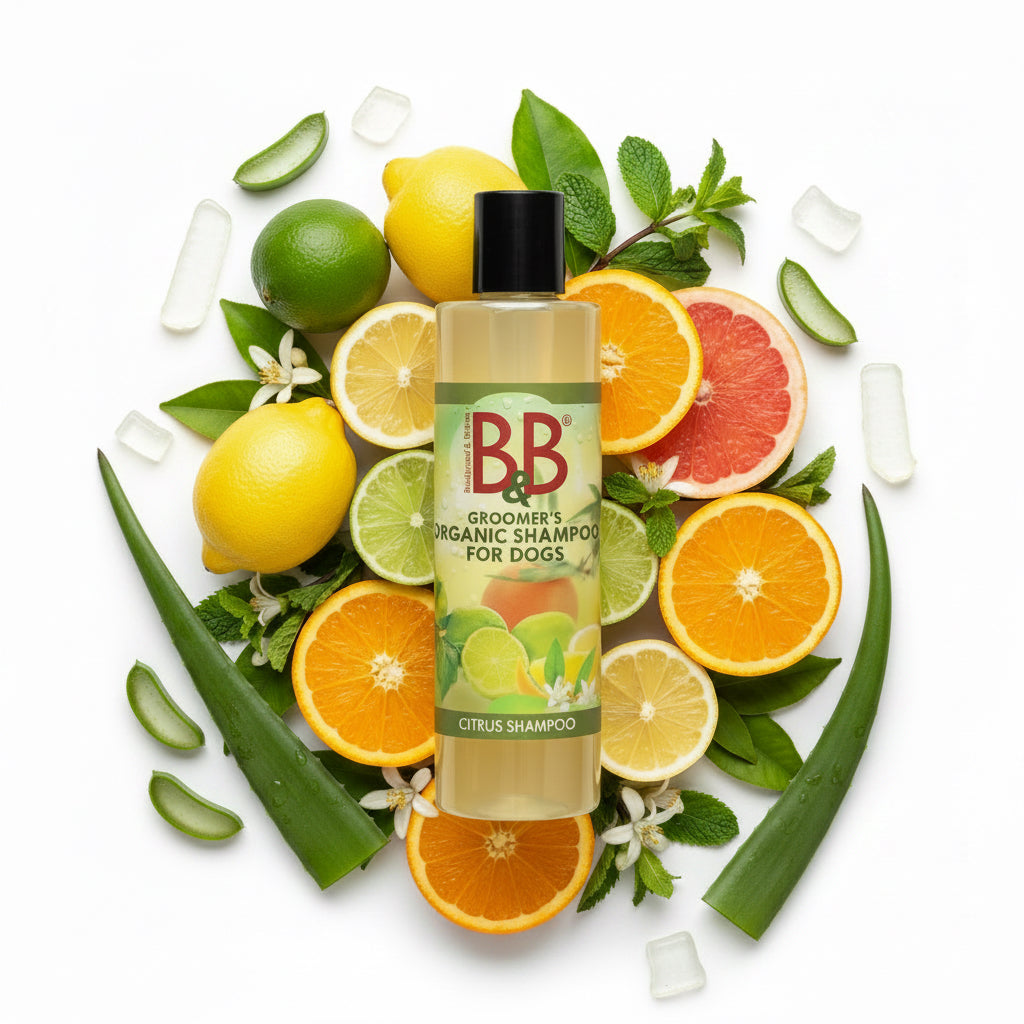 B&B Organic Citrus Shampoo for Dogs bottle surrounded by fresh citrus fruits