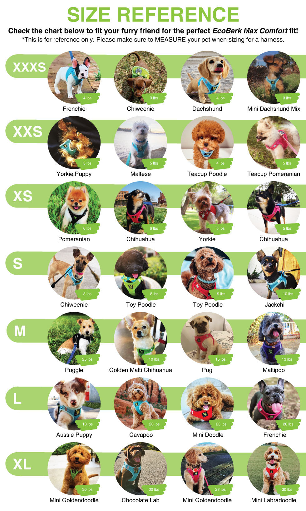 EcoBark dog harness breed size reference guide for teacup, toy, and small dog breeds