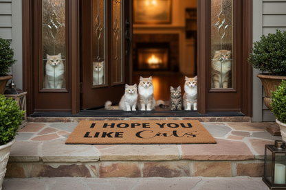 I Hope You Like Cats doormat with four cats sitting in a home doorway