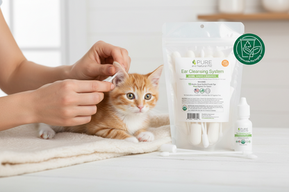 Owner gently cleaning a kitten’s ears using the Organic Ear Cleansing System