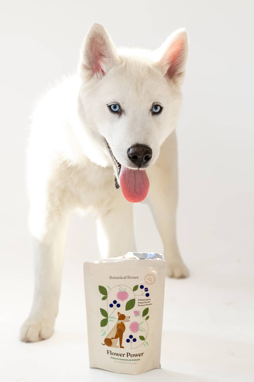 Flower Power Cookies | All-Natural Organic Dog Treats